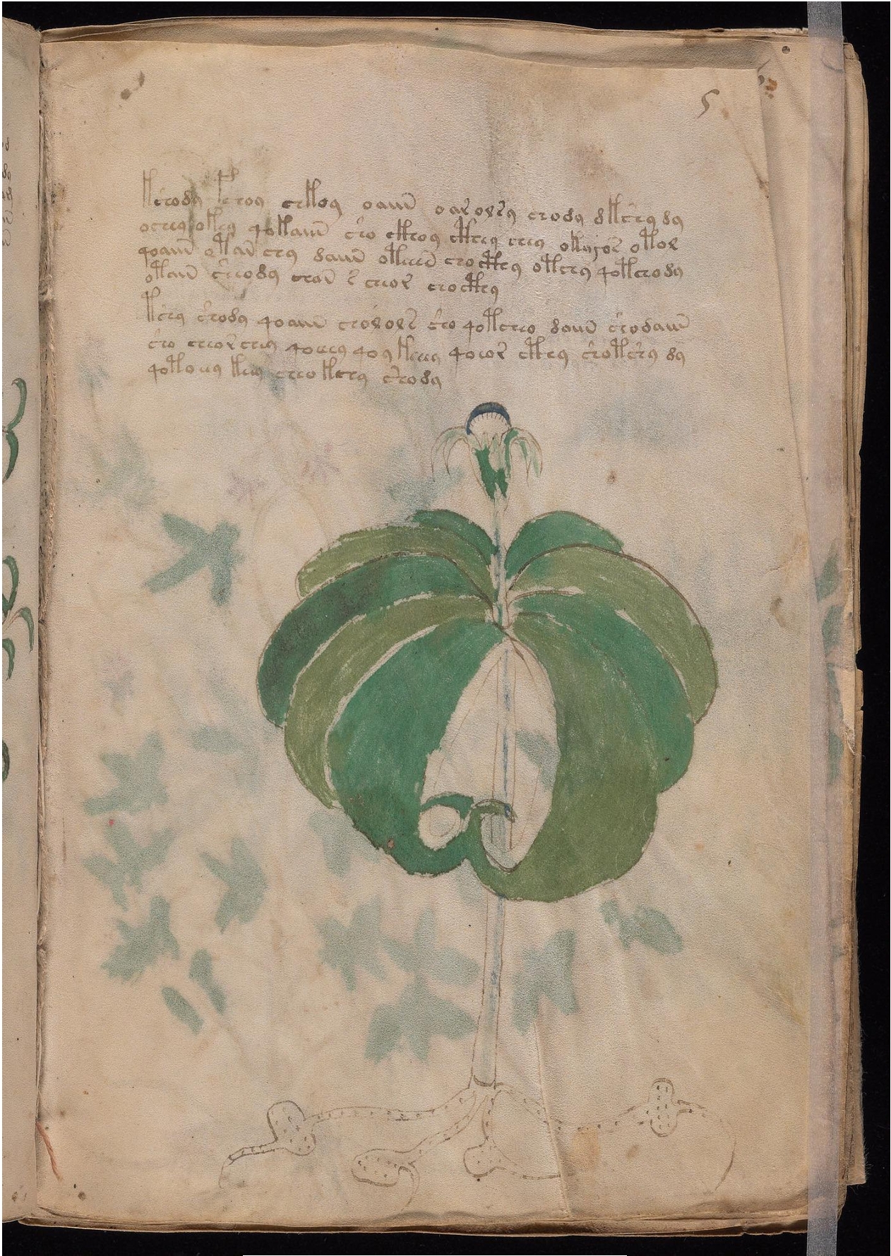 Original manuscript of Folio 5r